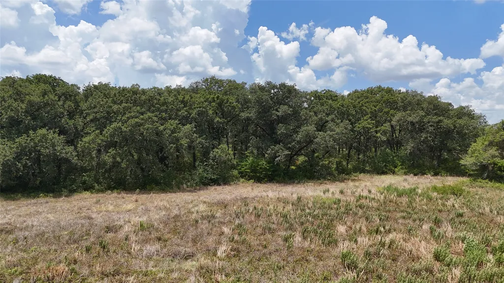 Lot 8 NE County Road 3040 Kerens TX 75144