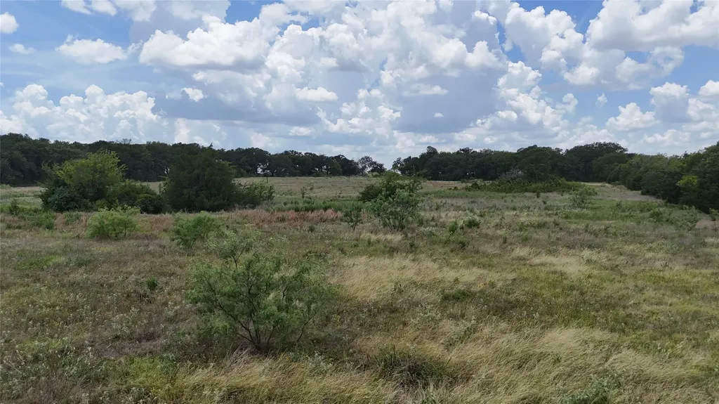 Lot 8 NE County Road 3040 Kerens TX 75144