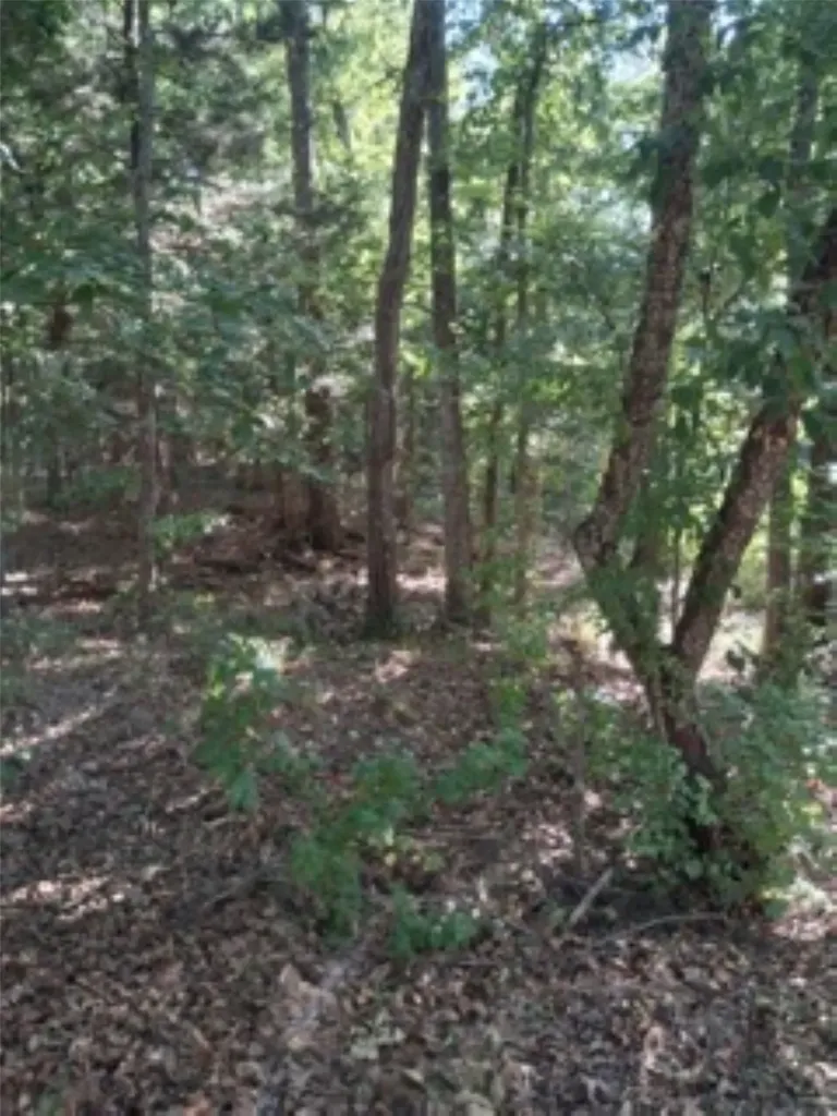 Tbd Summit Ridge Murchison TX 75778