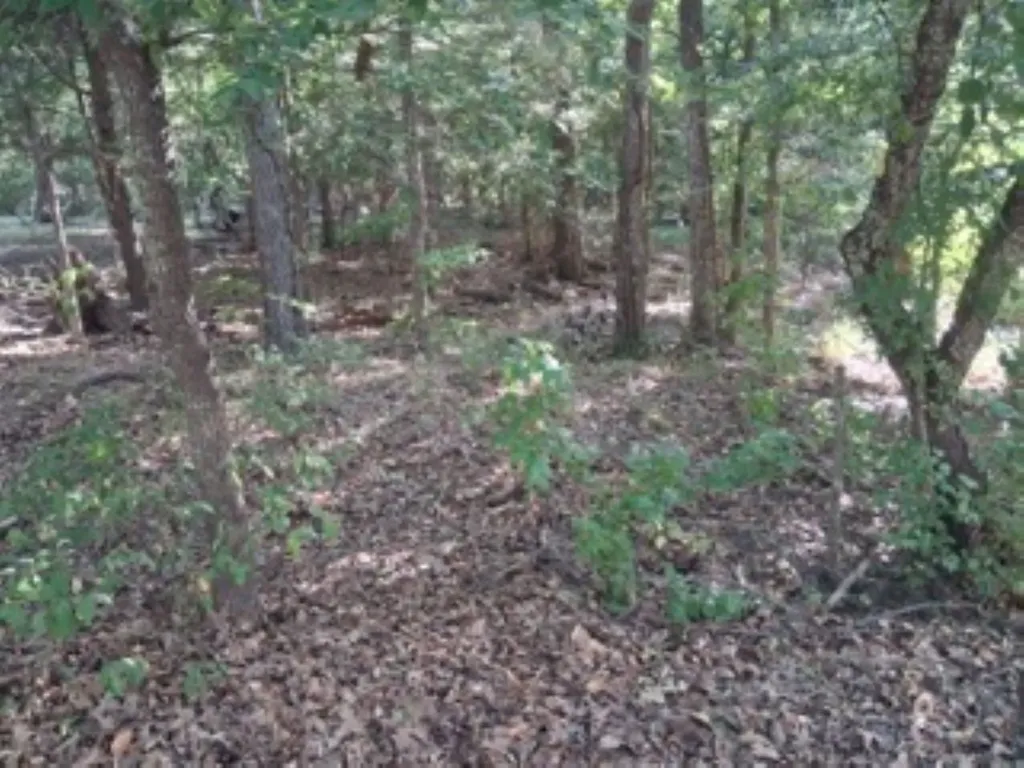 Tbd Summit Ridge Murchison TX 75778