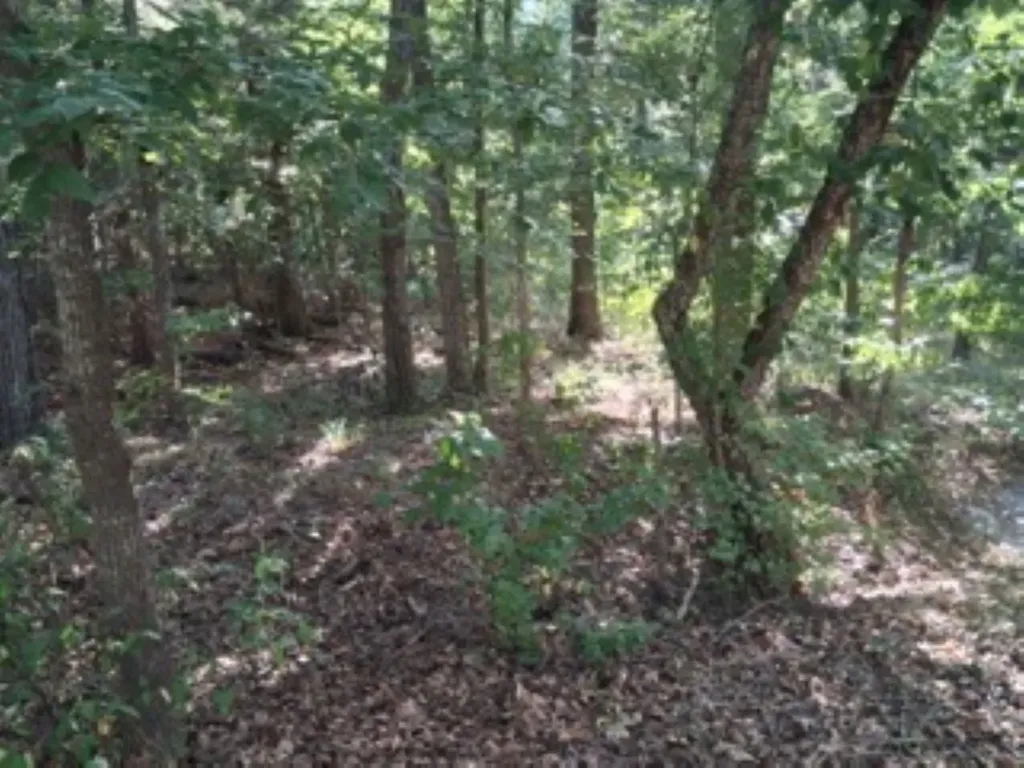Tbd Summit Ridge Murchison TX 75778