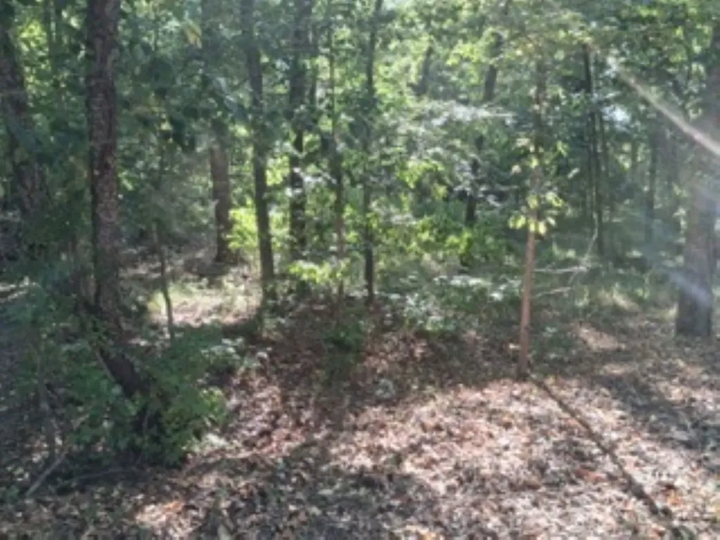 Tbd Summit Ridge Murchison TX 75778