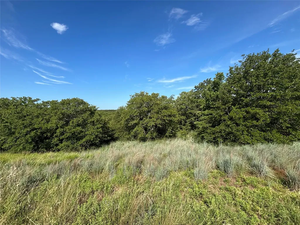 153 Post Oak Cove Sunset TX 76270
