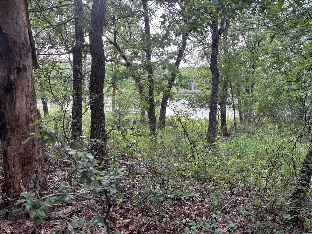 153 Post Oak Cove Sunset TX 76270