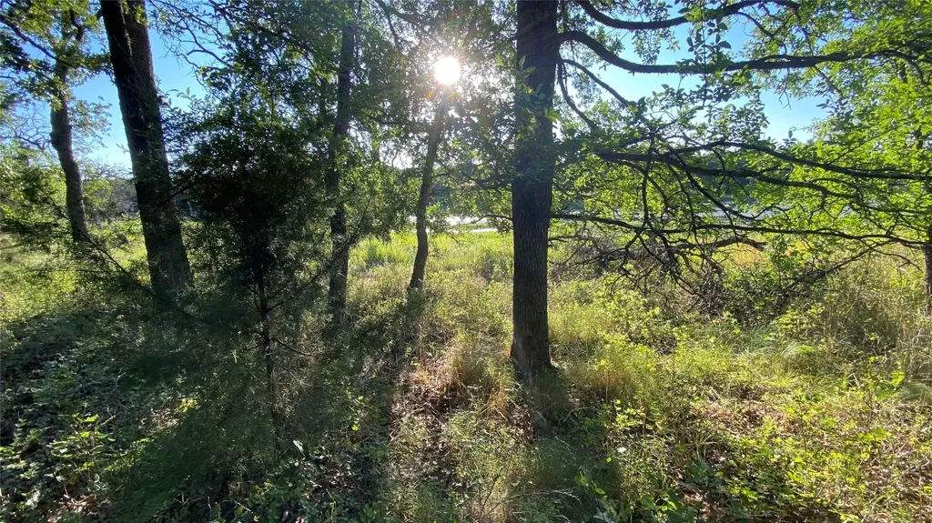 153 Post Oak Cove Sunset TX 76270