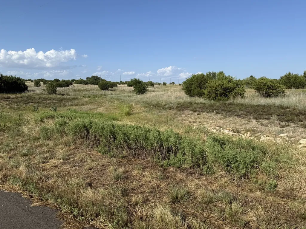 706 Rory Crossing Lipan TX 76462