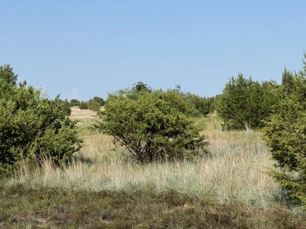 706 Rory Crossing Lipan TX 76462