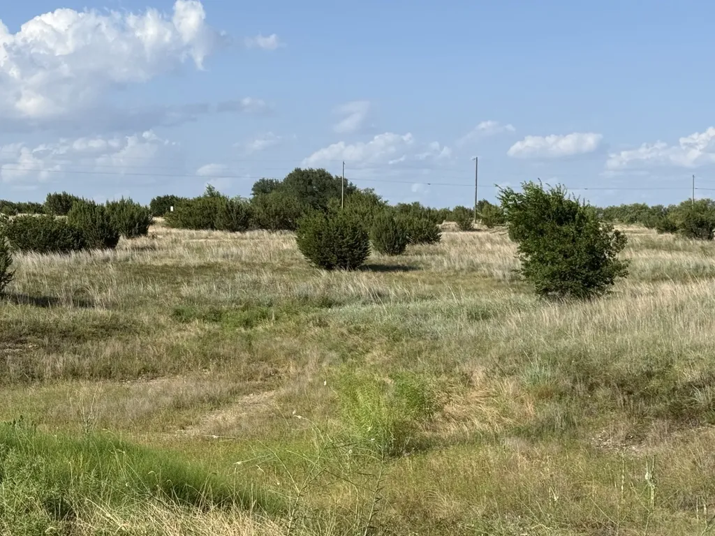 706 Rory Crossing Lipan TX 76462