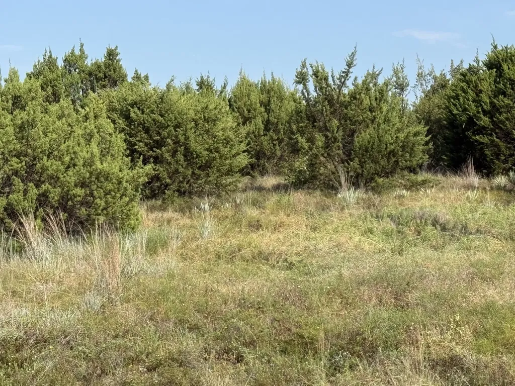706 Rory Crossing Lipan TX 76462