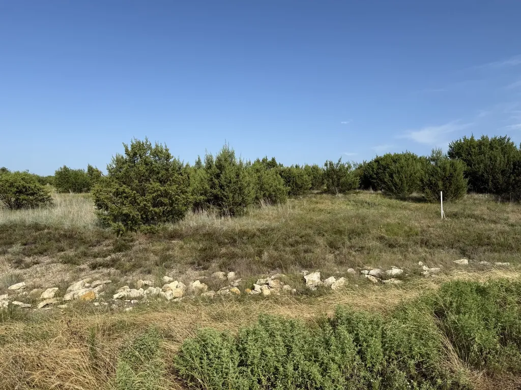 706 Rory Crossing Lipan TX 76462