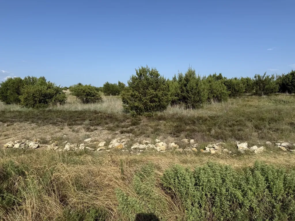 706 Rory Crossing Lipan TX 76462