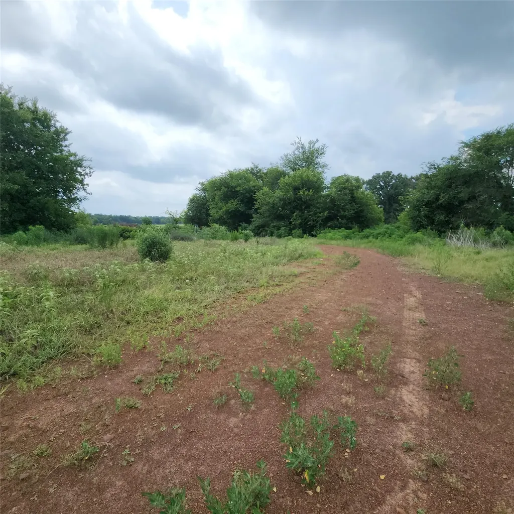 6705 Fox Road Gilmer TX 75644