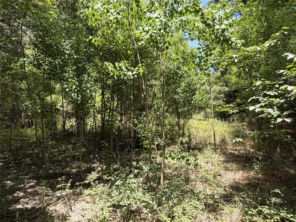 6572 S Fm 31 Carthage TX 75633