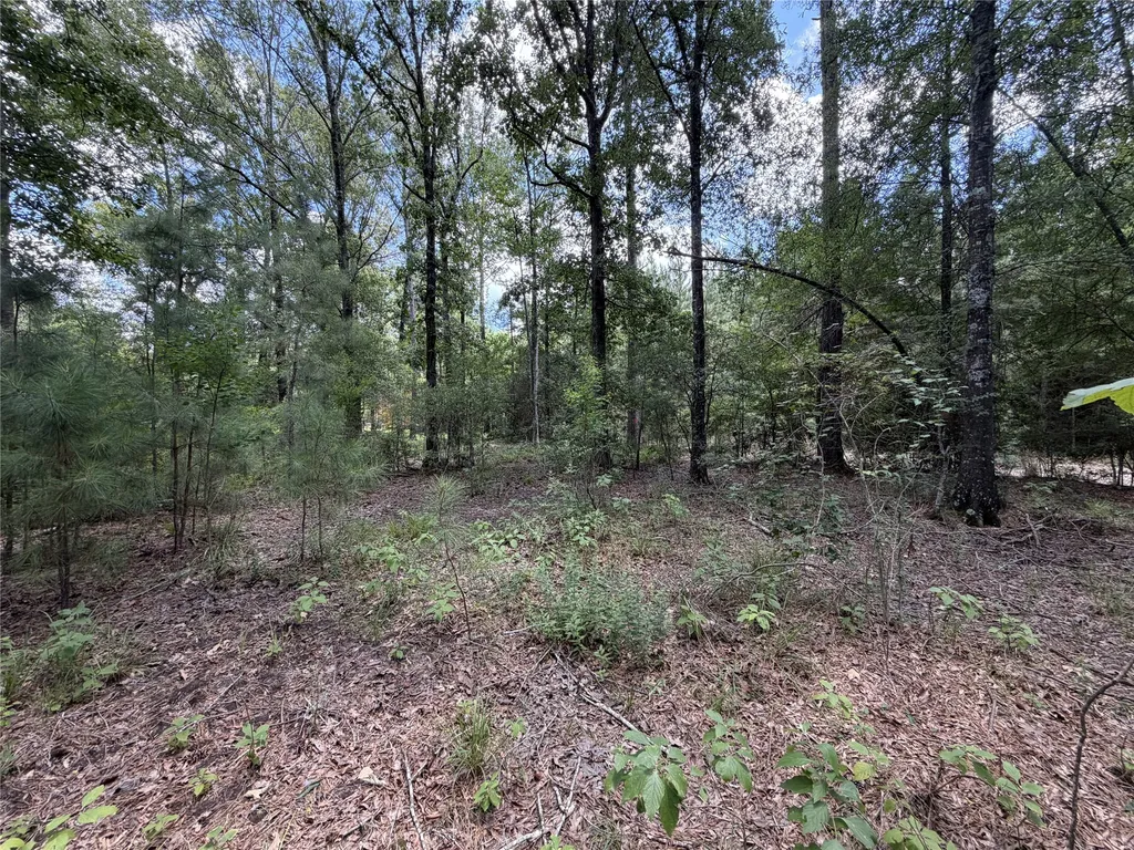 6572 S Fm 31 Carthage TX 75633