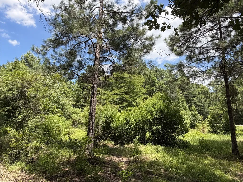 6572 S Fm 31 Carthage TX 75633