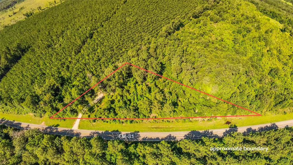 6572 S Fm 31 Carthage TX 75633