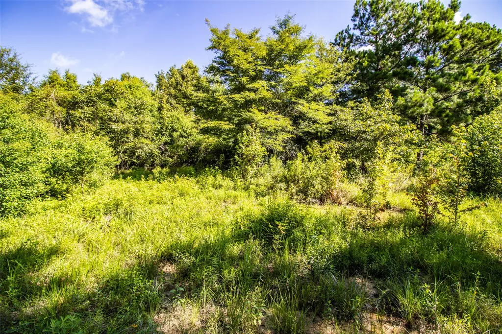 6572 S Fm 31 Carthage TX 75633
