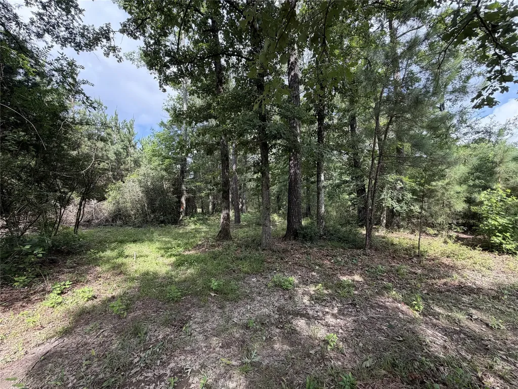 6572 S Fm 31 Carthage TX 75633