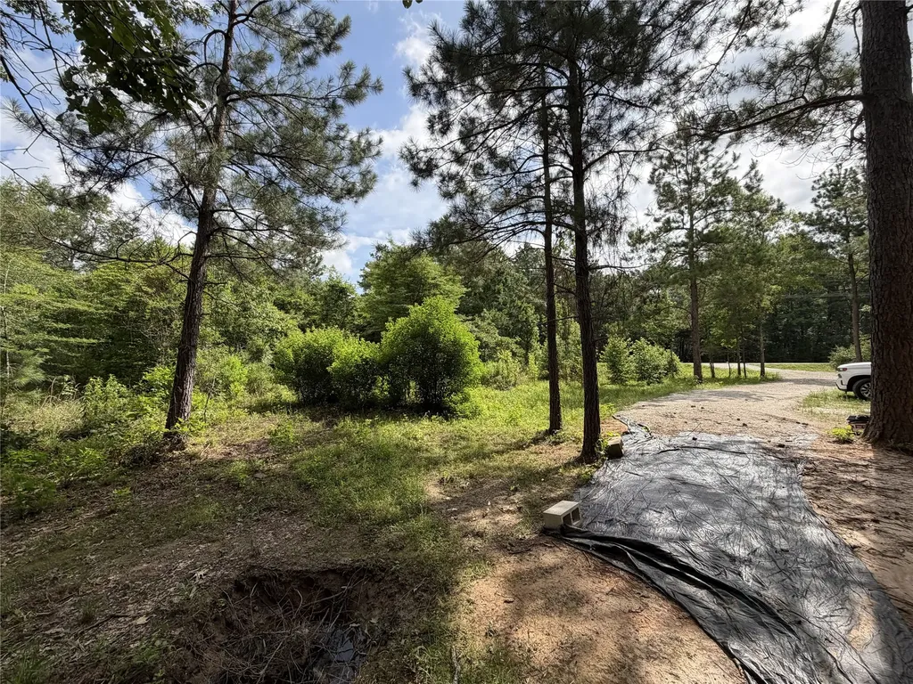 6572 S Fm 31 Carthage TX 75633