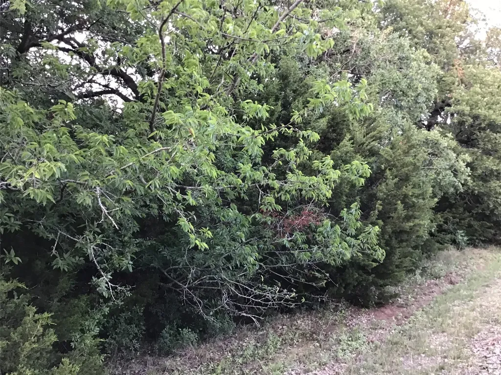 44021 Fringewood Drive Whitney TX 76692