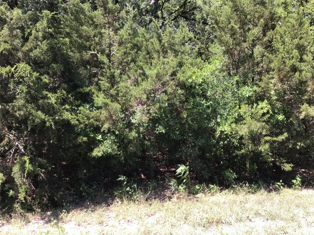 44021 Fringewood Drive Whitney TX 76692
