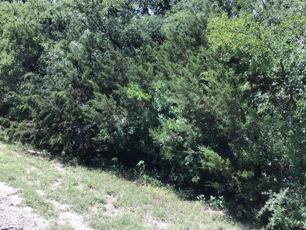 44021 Fringewood Drive Whitney TX 76692