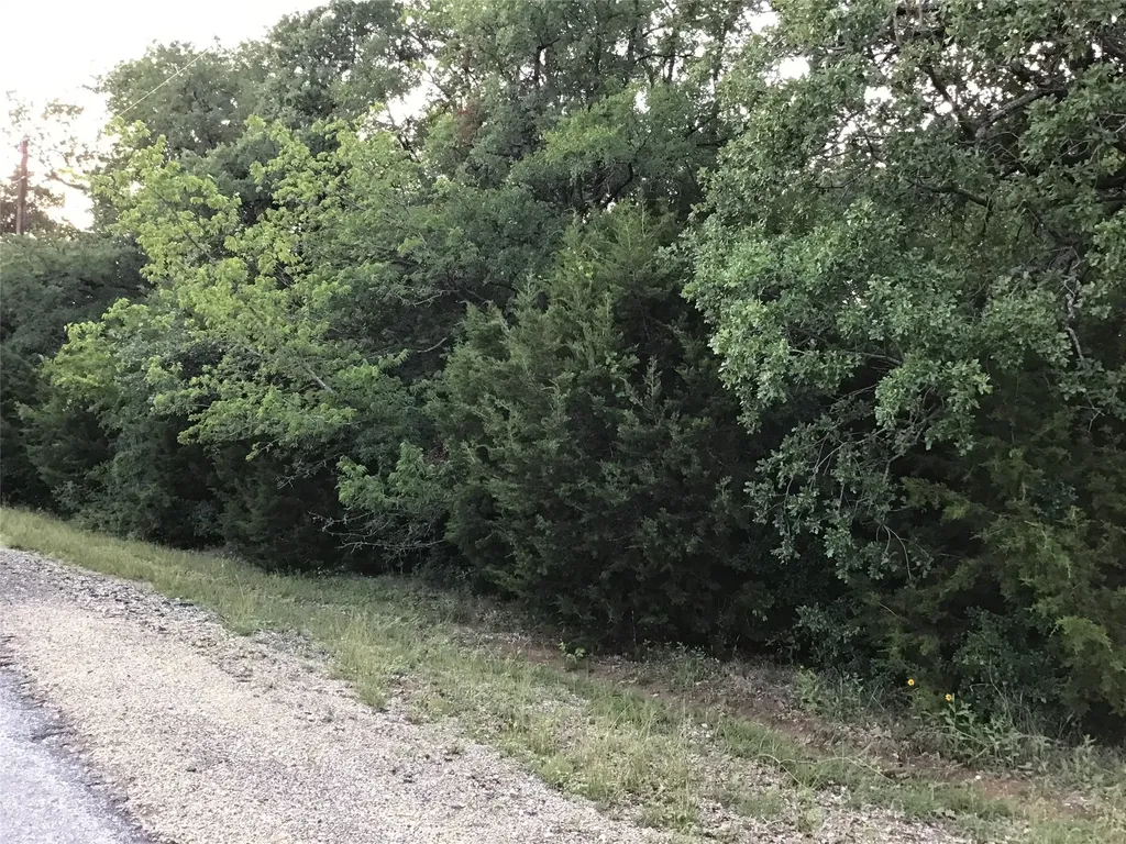 44021 Fringewood Drive Whitney TX 76692