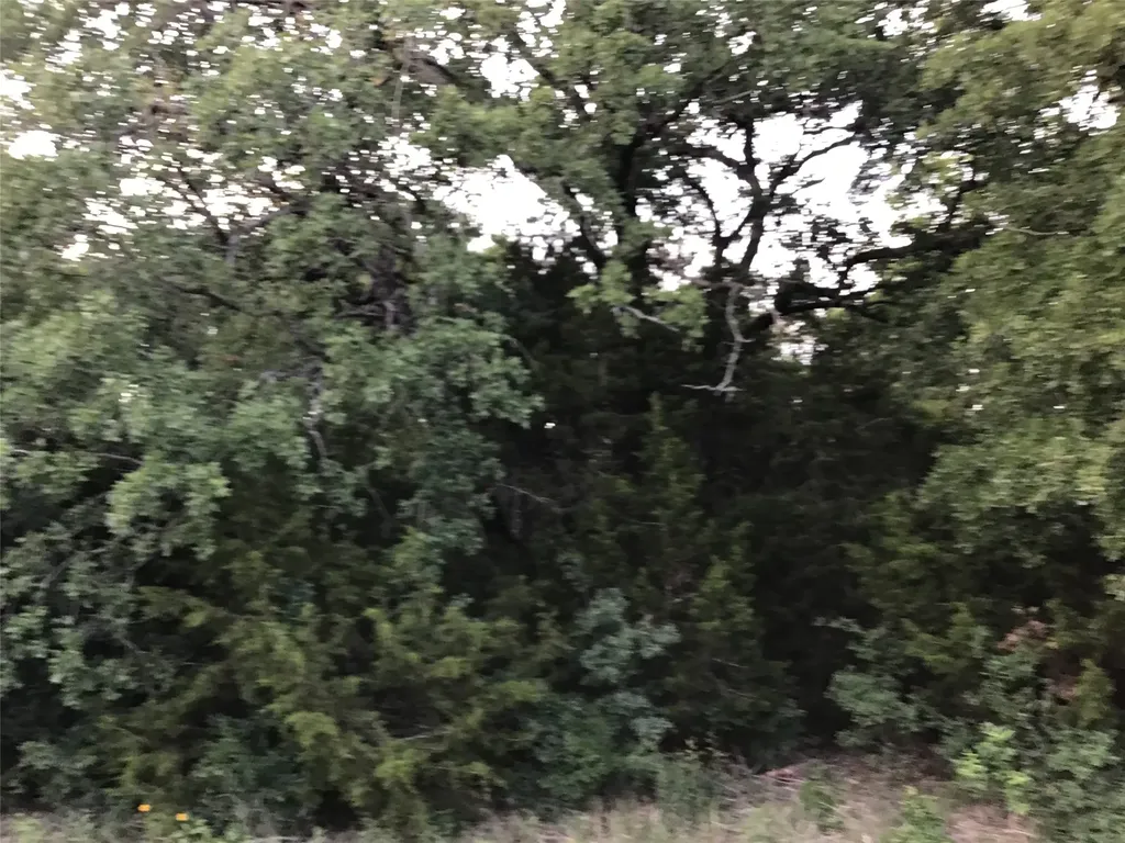 44021 Fringewood Drive Whitney TX 76692