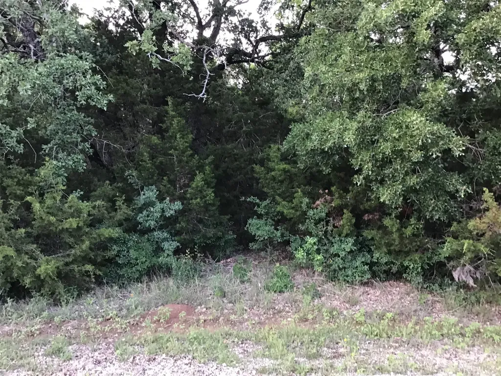 44021 Fringewood Drive Whitney TX 76692