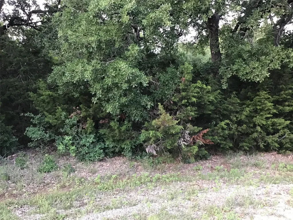 44021 Fringewood Drive Whitney TX 76692