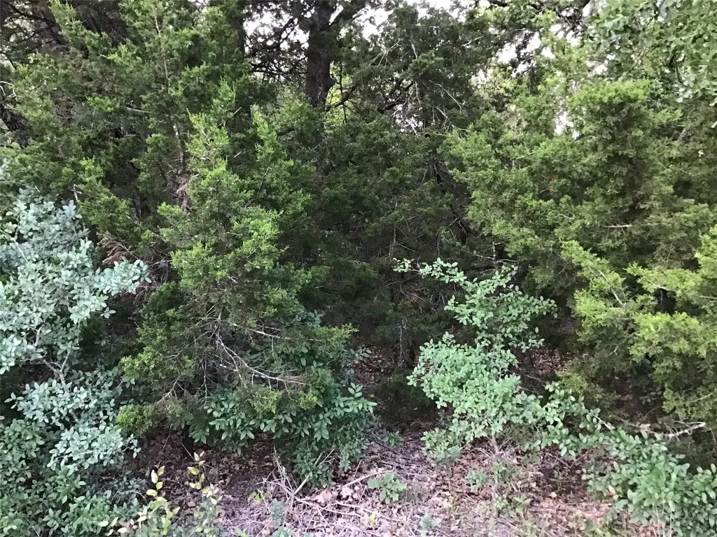 44021 Fringewood Drive Whitney TX 76692