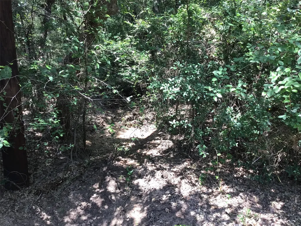 44021 Fringewood Drive Whitney TX 76692
