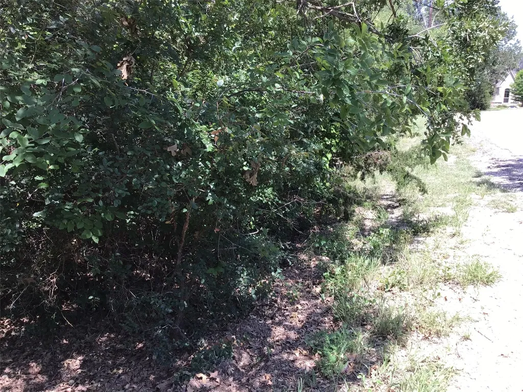 44021 Fringewood Drive Whitney TX 76692