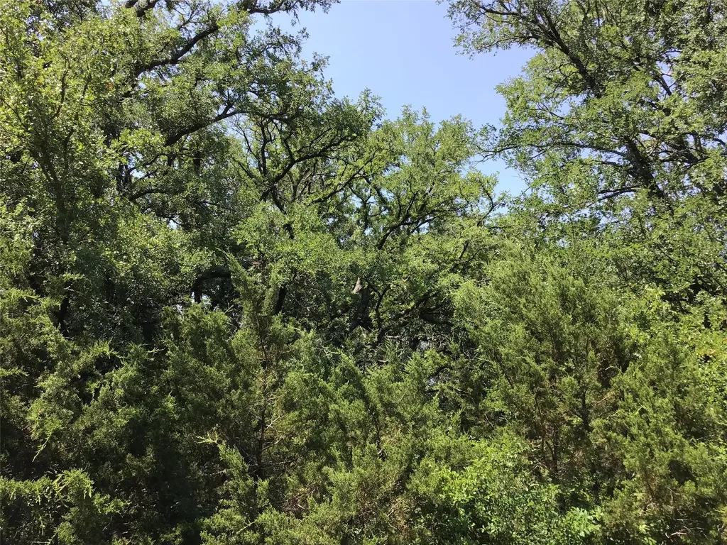 44021 Fringewood Drive Whitney TX 76692