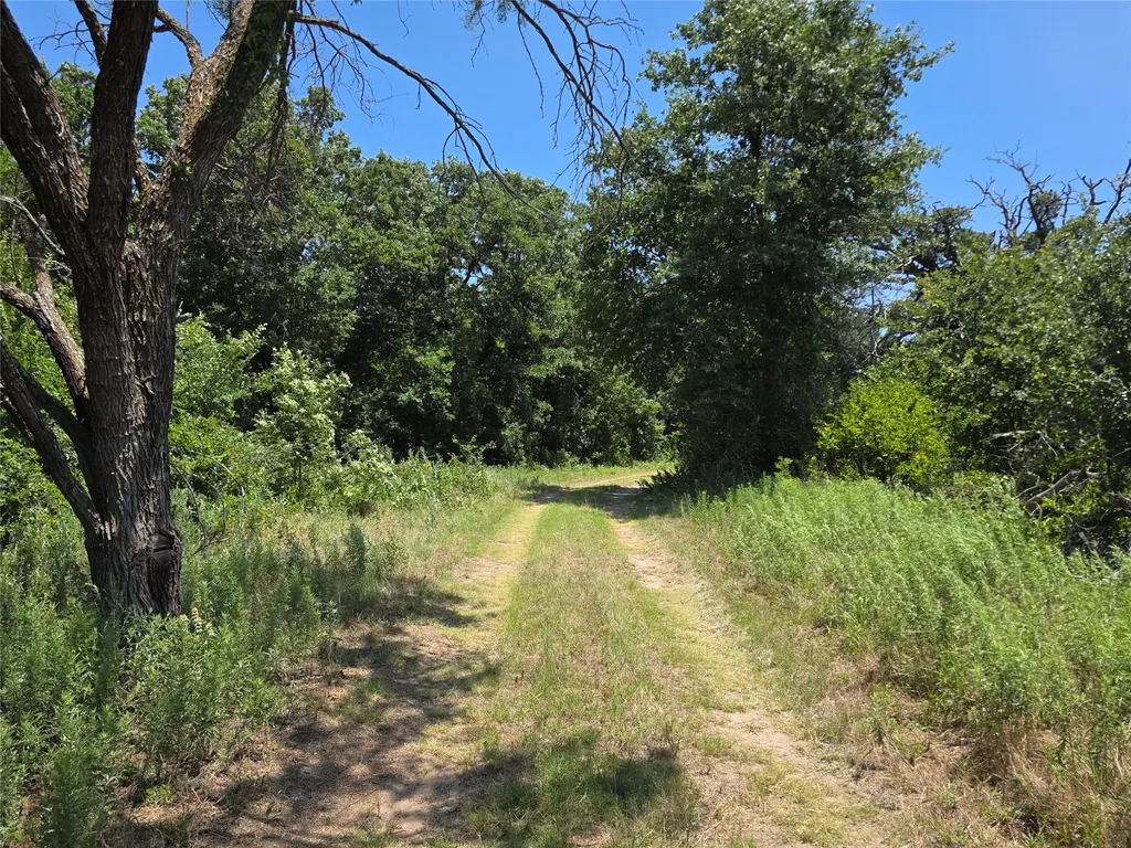 16695 County Road 421 Cross Plains TX 76443