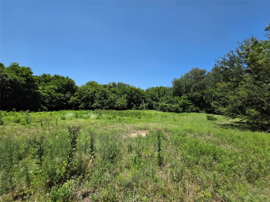 16695 County Road 421 Cross Plains TX 76443