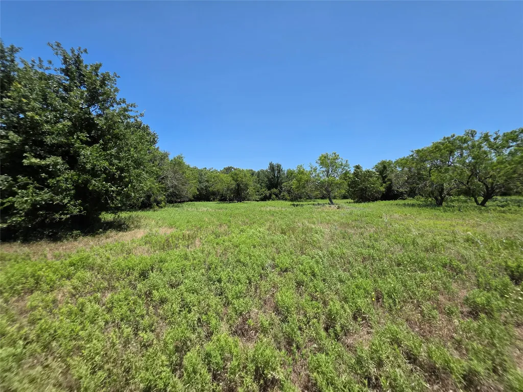 16695 County Road 421 Cross Plains TX 76443