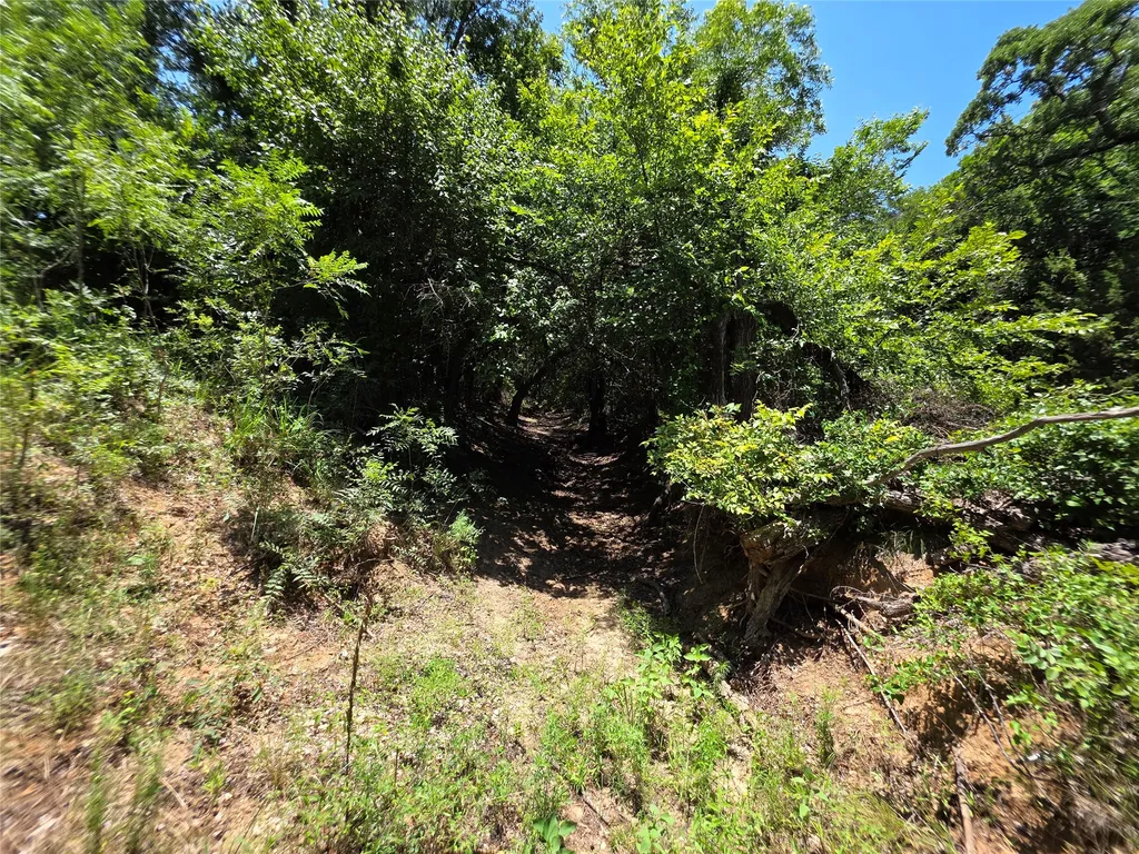 16695 County Road 421 Cross Plains TX 76443