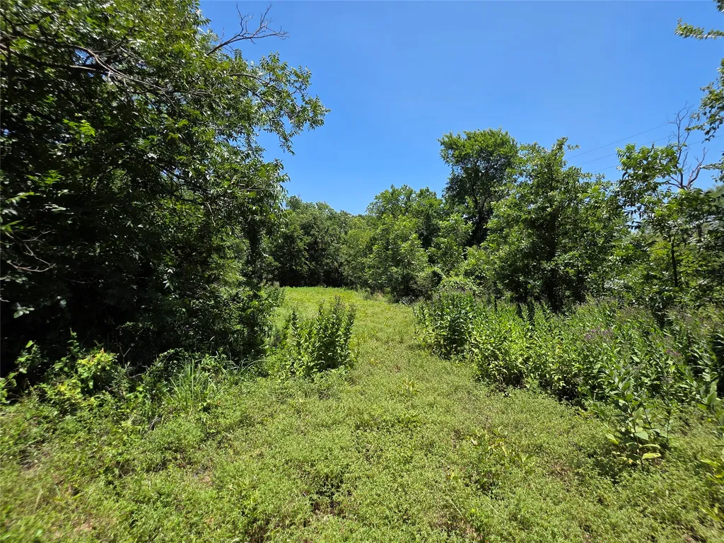 16695 County Road 421 Cross Plains TX 76443