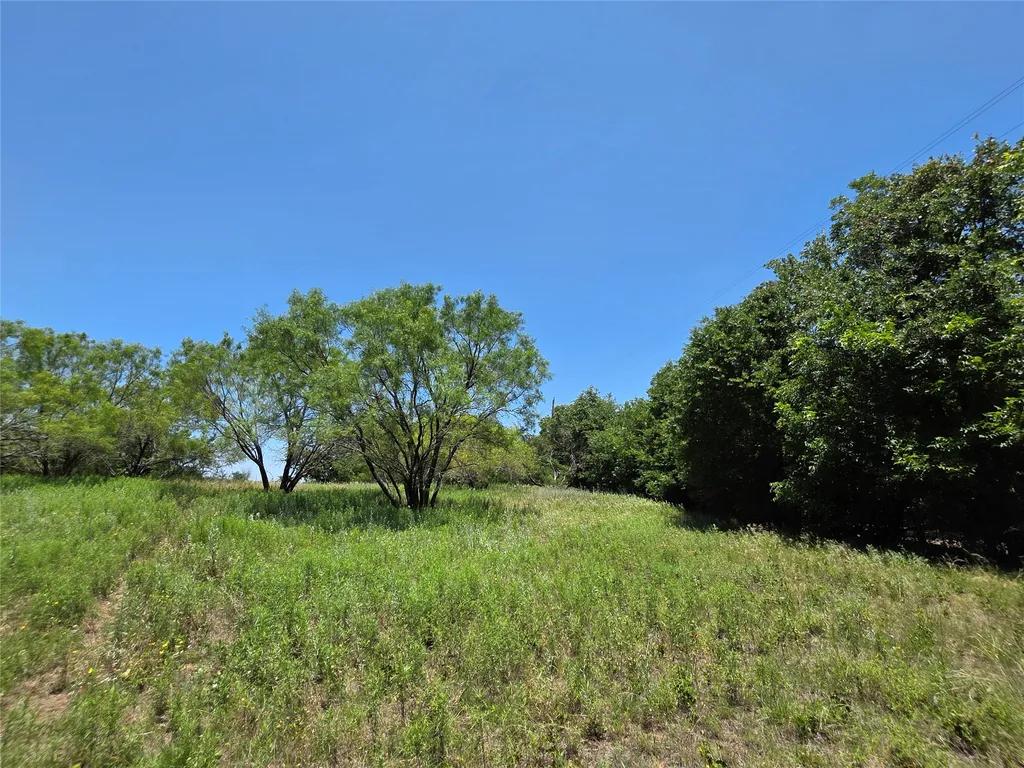 16695 County Road 421 Cross Plains TX 76443