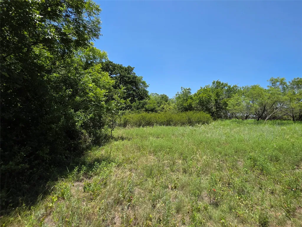 16695 County Road 421 Cross Plains TX 76443