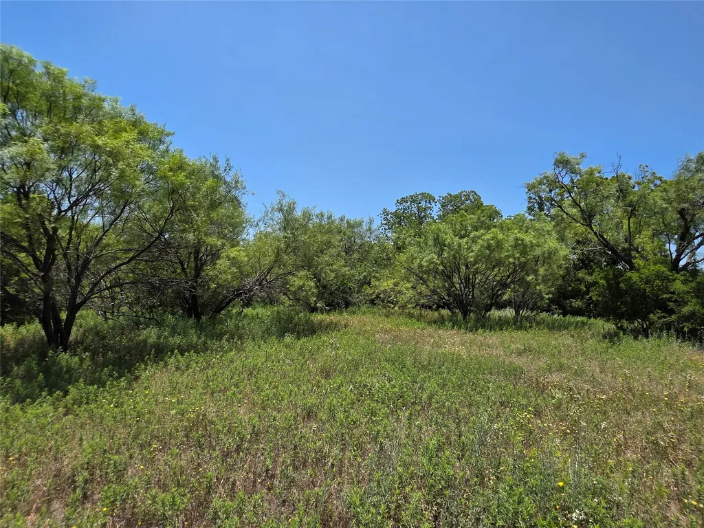 16695 County Road 421 Cross Plains TX 76443