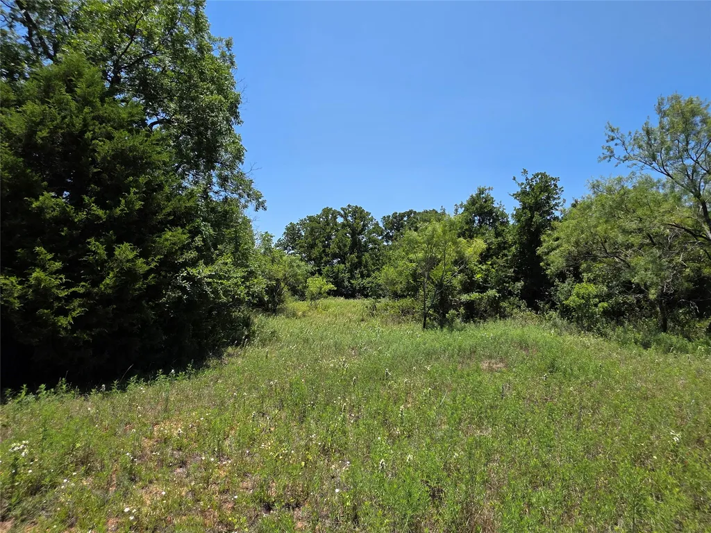 16695 County Road 421 Cross Plains TX 76443