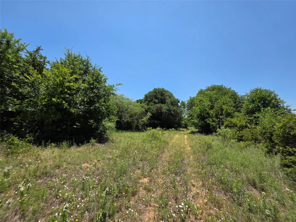 16695 County Road 421 Cross Plains TX 76443