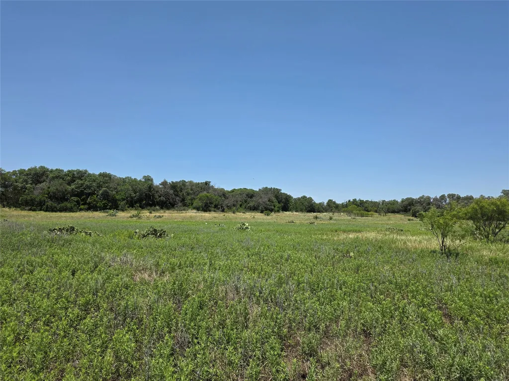 16695 County Road 421 Cross Plains TX 76443