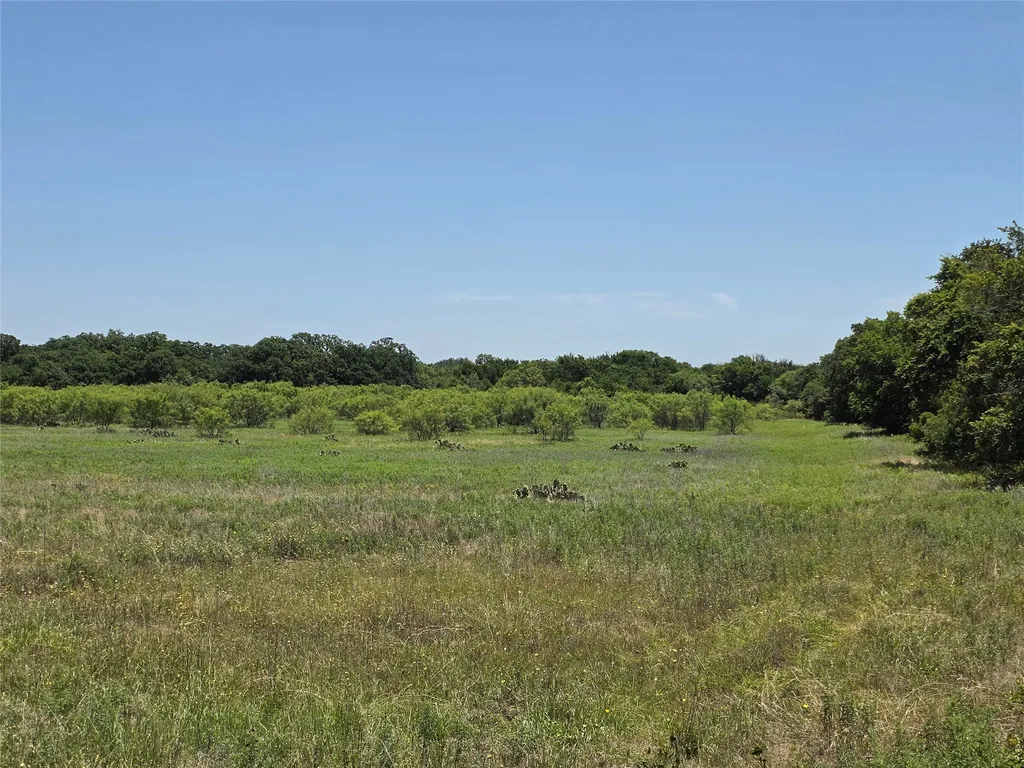 16695 County Road 421 Cross Plains TX 76443
