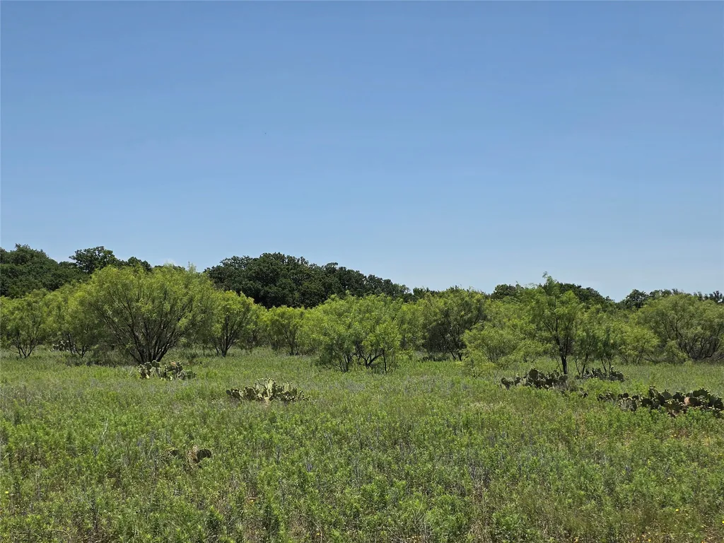 16695 County Road 421 Cross Plains TX 76443