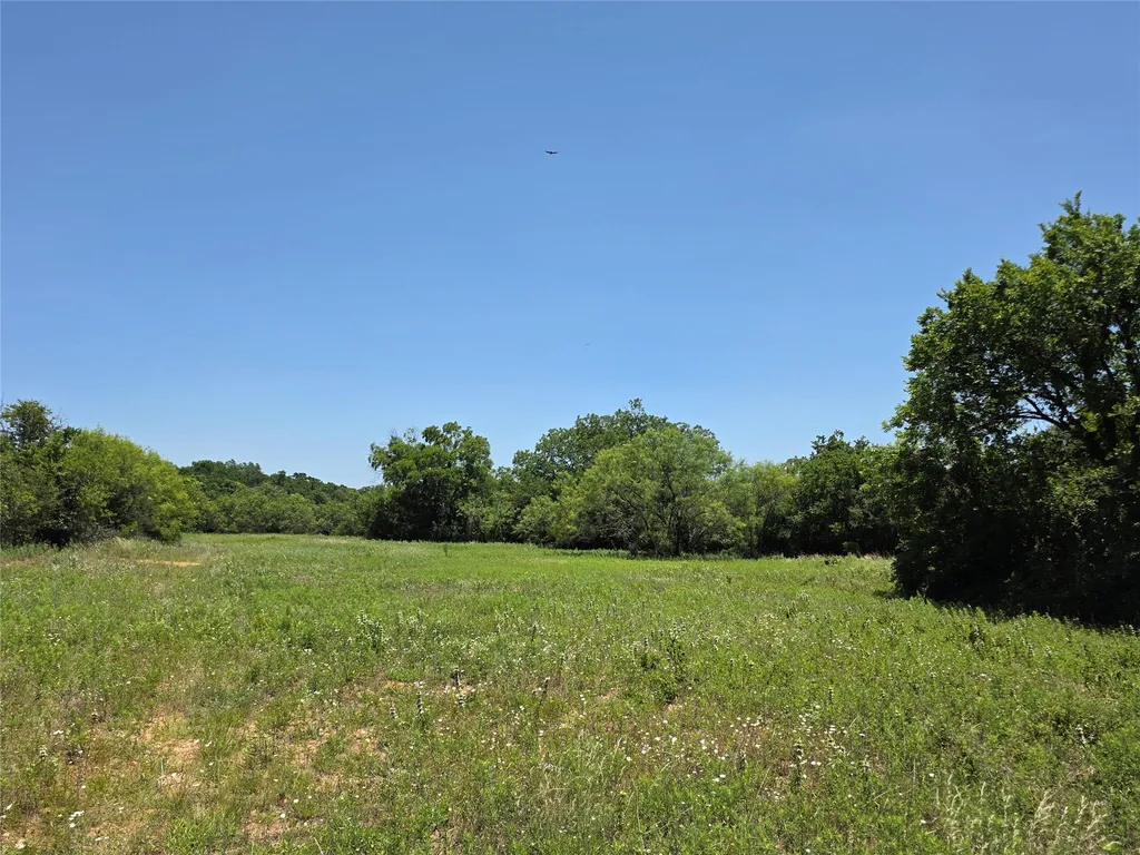 16695 County Road 421 Cross Plains TX 76443