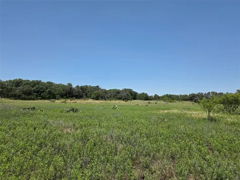 16695 County Road 421 Cross Plains TX 76443