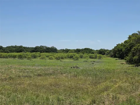 16695 County Road 421 Cross Plains TX 76443